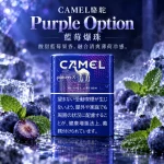 CAMEL Purple Option藍莓爆珠口味煙彈-整條10包裝-Ploom加熱菸專用