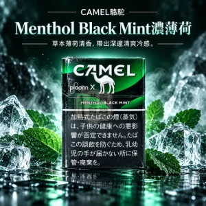 CAMEL駱駝Menthol Black Mint濃薄荷口味煙彈-整條10包裝-Ploom加熱菸專用