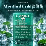 CAMEL駱駝Menthol Cold淡薄荷口味煙彈-整條10包裝-Ploom加熱菸專用