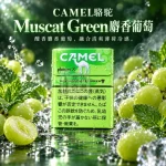 CAMEL駱駝Menthol Muscat Green麝香葡萄口味煙彈 整條10包裝 Ploom 加熱菸專用【日本原裝進口】