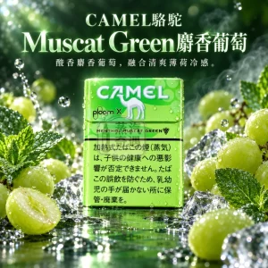 CAMEL駱駝Menthol Muscat Green麝香葡萄口味煙彈 整條10包裝 Ploom 加熱菸專用【日本原裝進口】